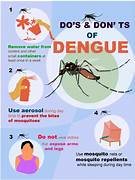 How to protect yourself from Dengue and Malaria